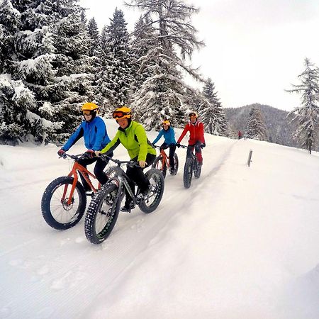 Bio-Holzhaus Und Landhaus Heimat Ramsau am Dachstein Dış mekan fotoğraf
