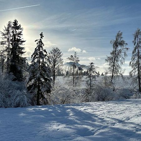 Bio-Holzhaus Und Landhaus Heimat Ramsau am Dachstein Dış mekan fotoğraf