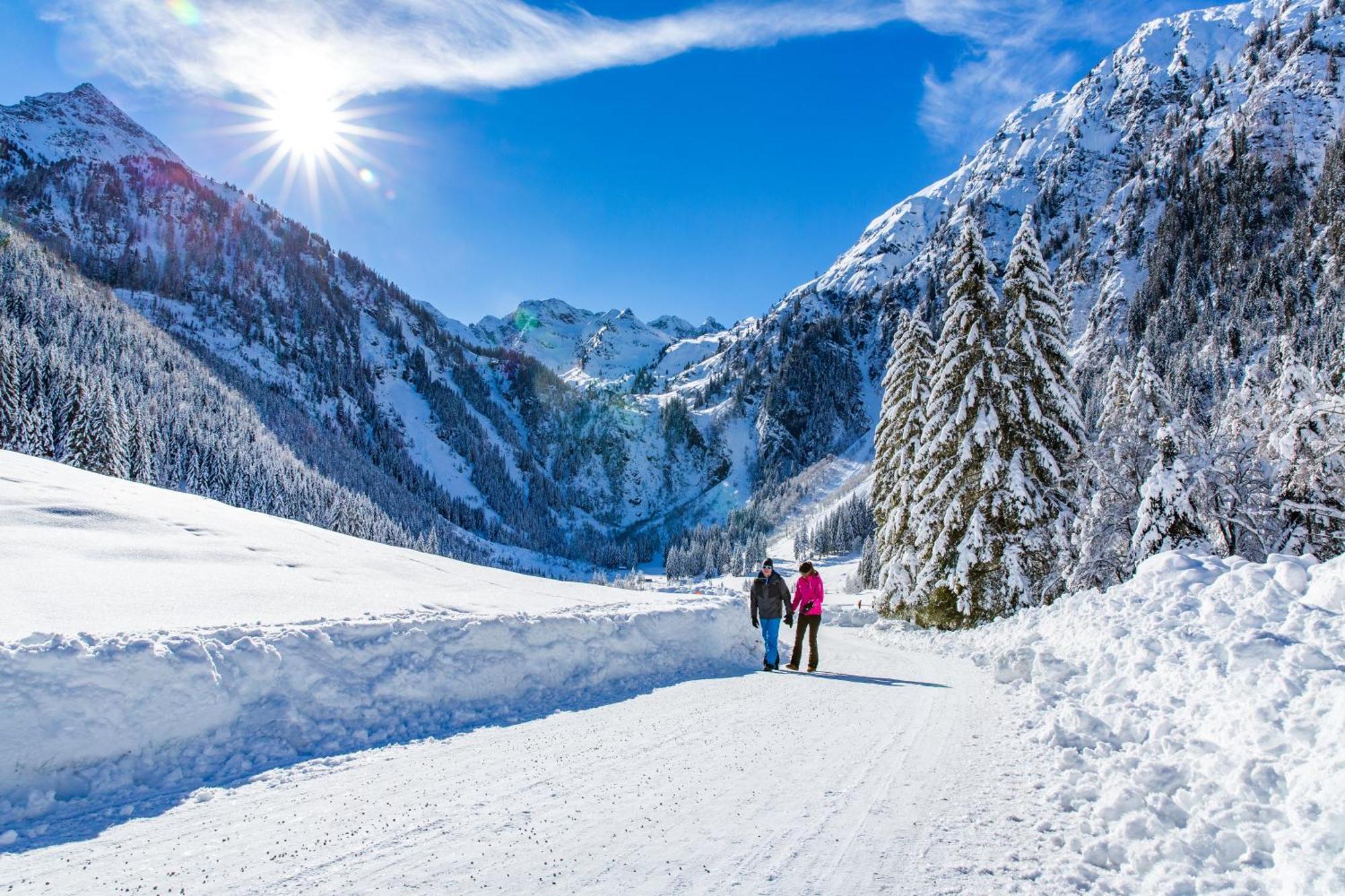 Bio-Holzhaus Und Landhaus Heimat Ramsau am Dachstein Dış mekan fotoğraf
