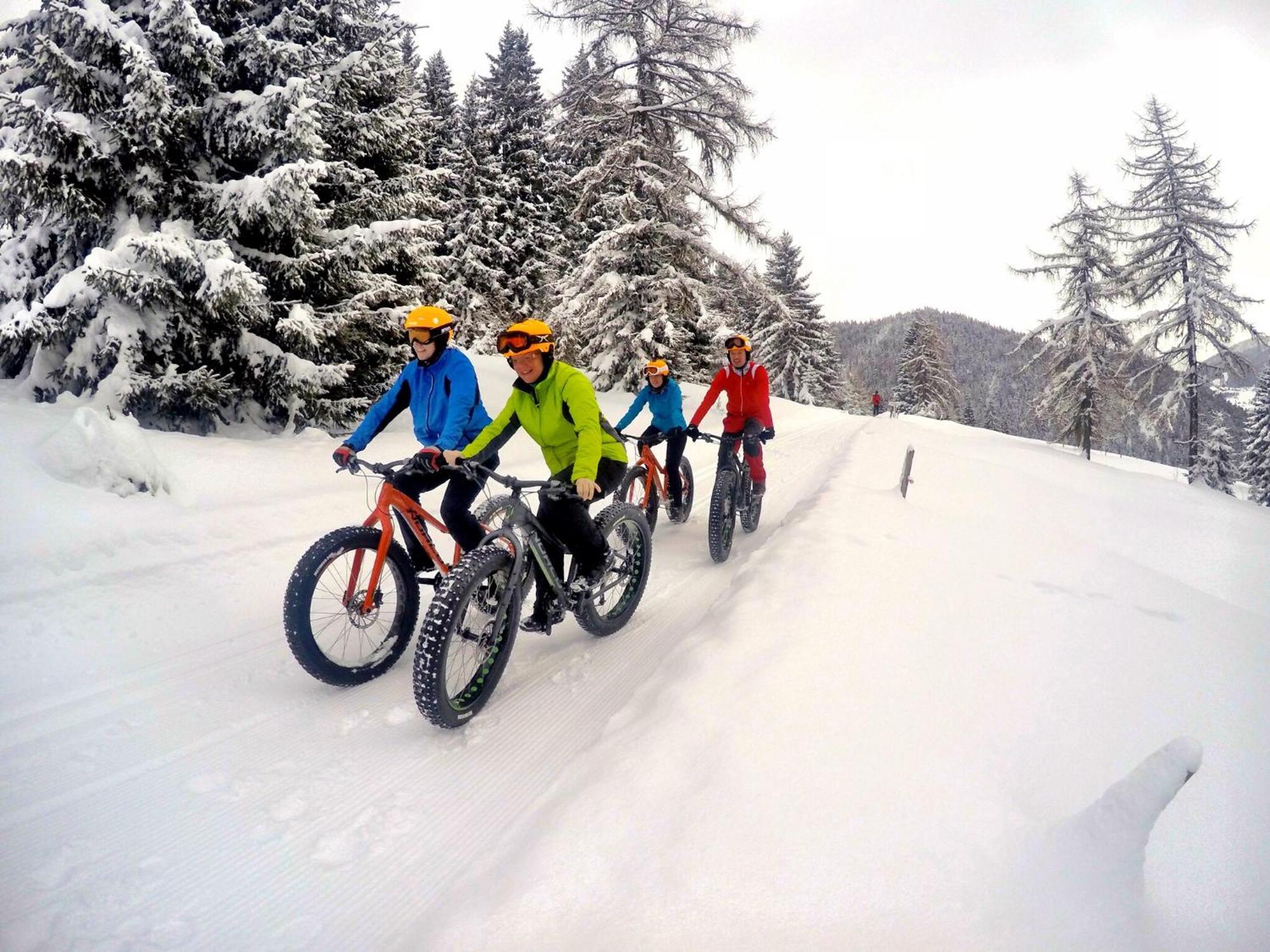 Bio-Holzhaus Und Landhaus Heimat Ramsau am Dachstein Dış mekan fotoğraf