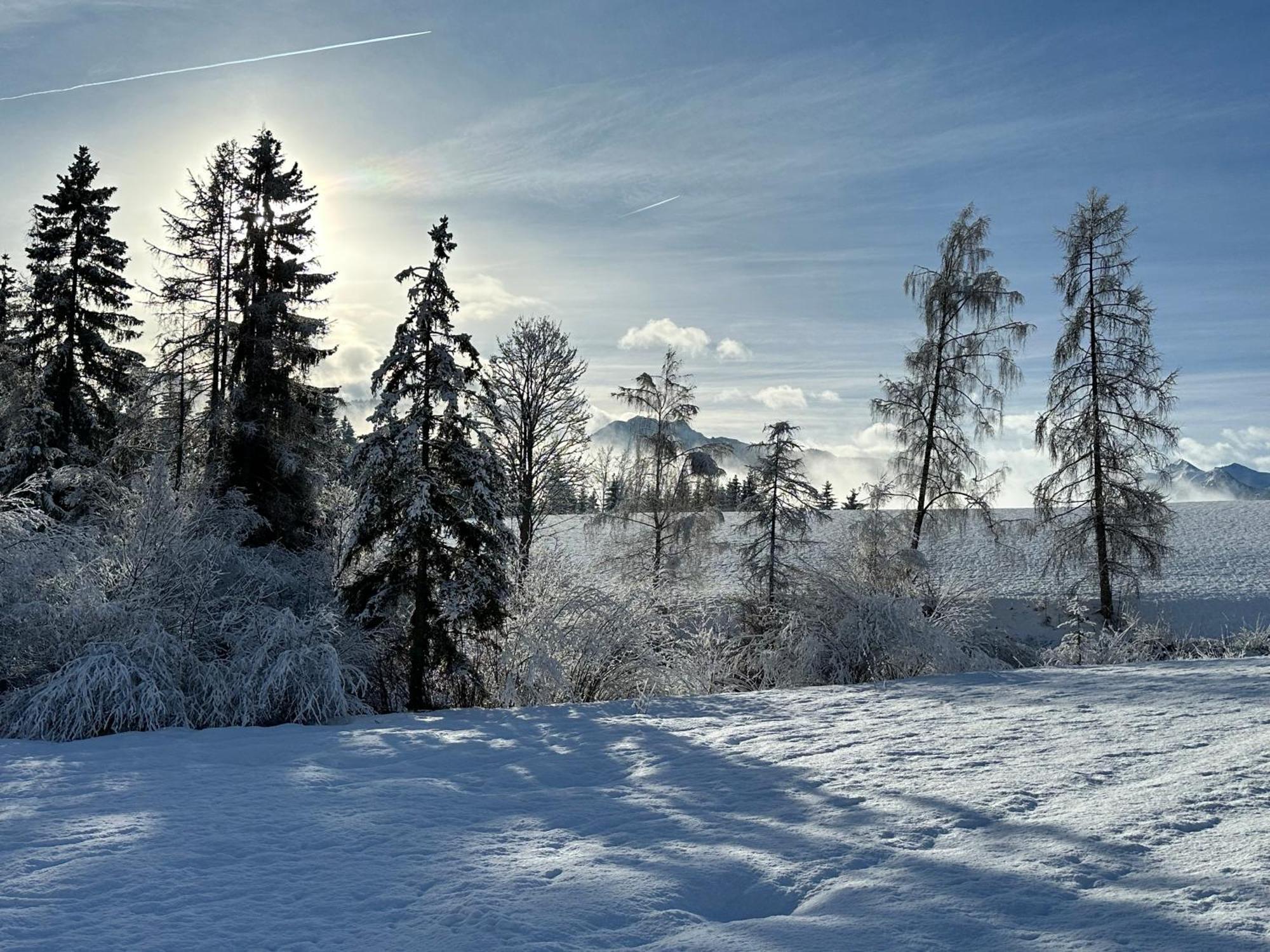 Bio-Holzhaus Und Landhaus Heimat Ramsau am Dachstein Dış mekan fotoğraf
