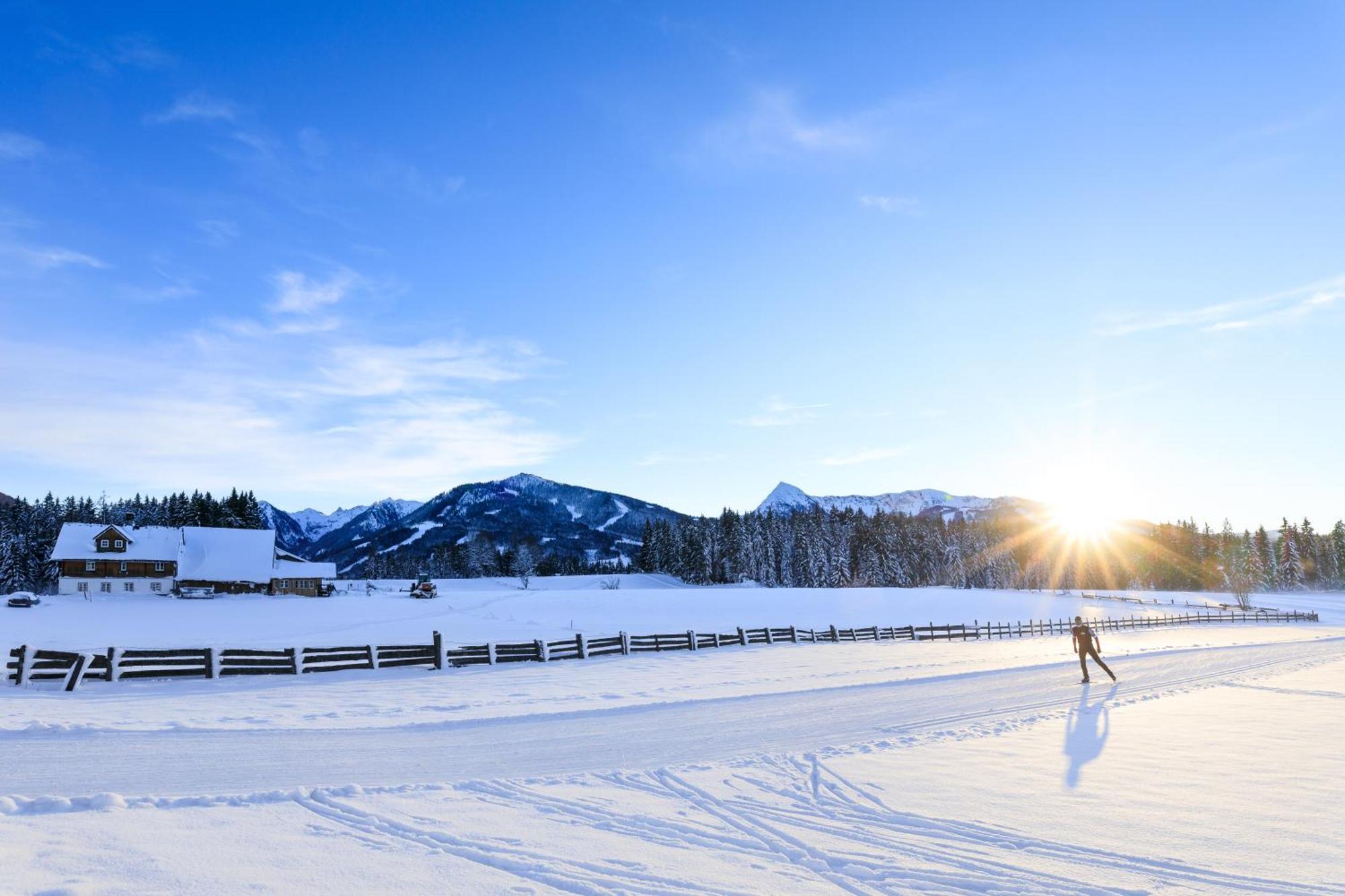 Bio-Holzhaus Und Landhaus Heimat Ramsau am Dachstein Dış mekan fotoğraf