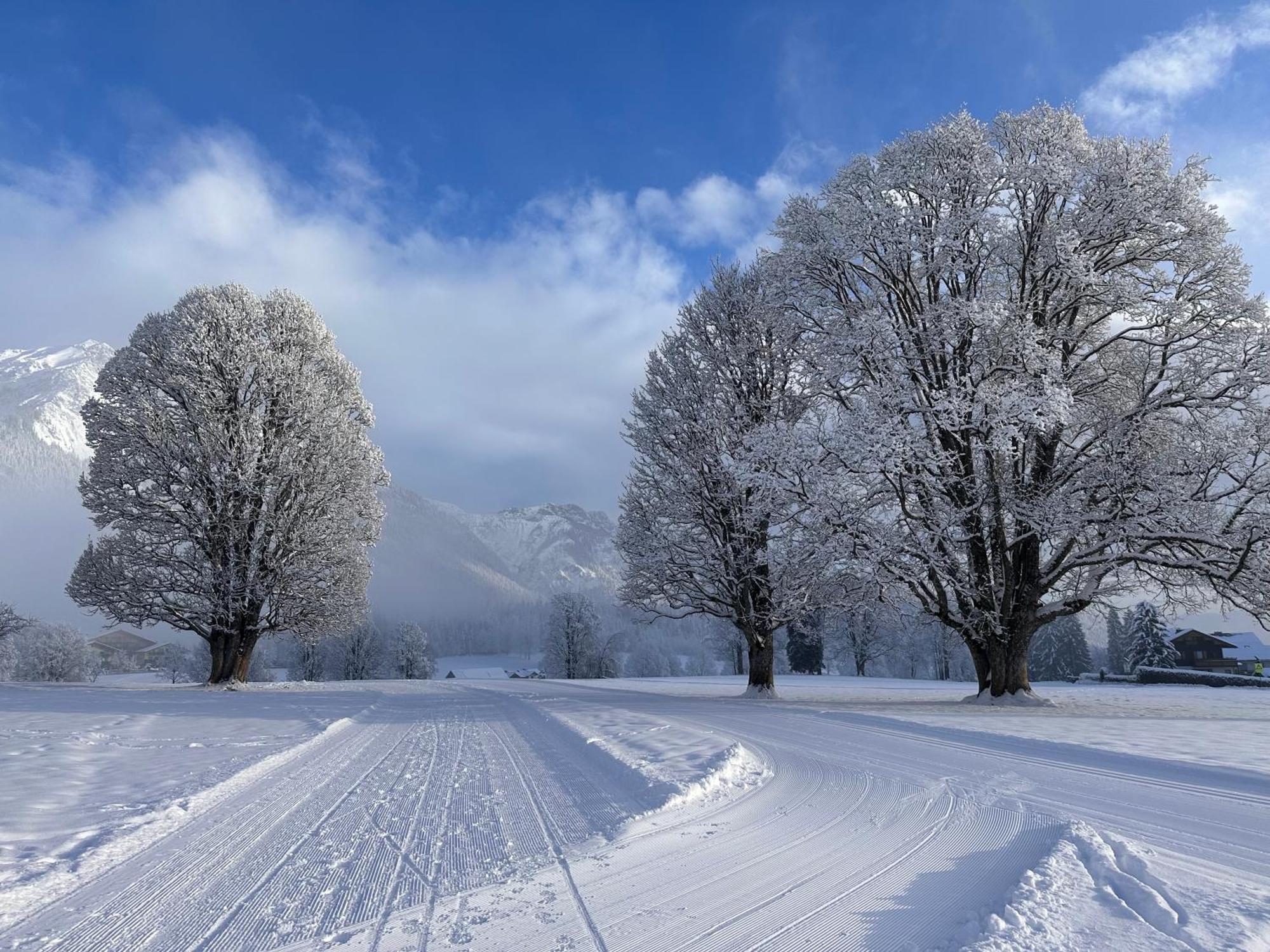 Bio-Holzhaus Und Landhaus Heimat Ramsau am Dachstein Dış mekan fotoğraf