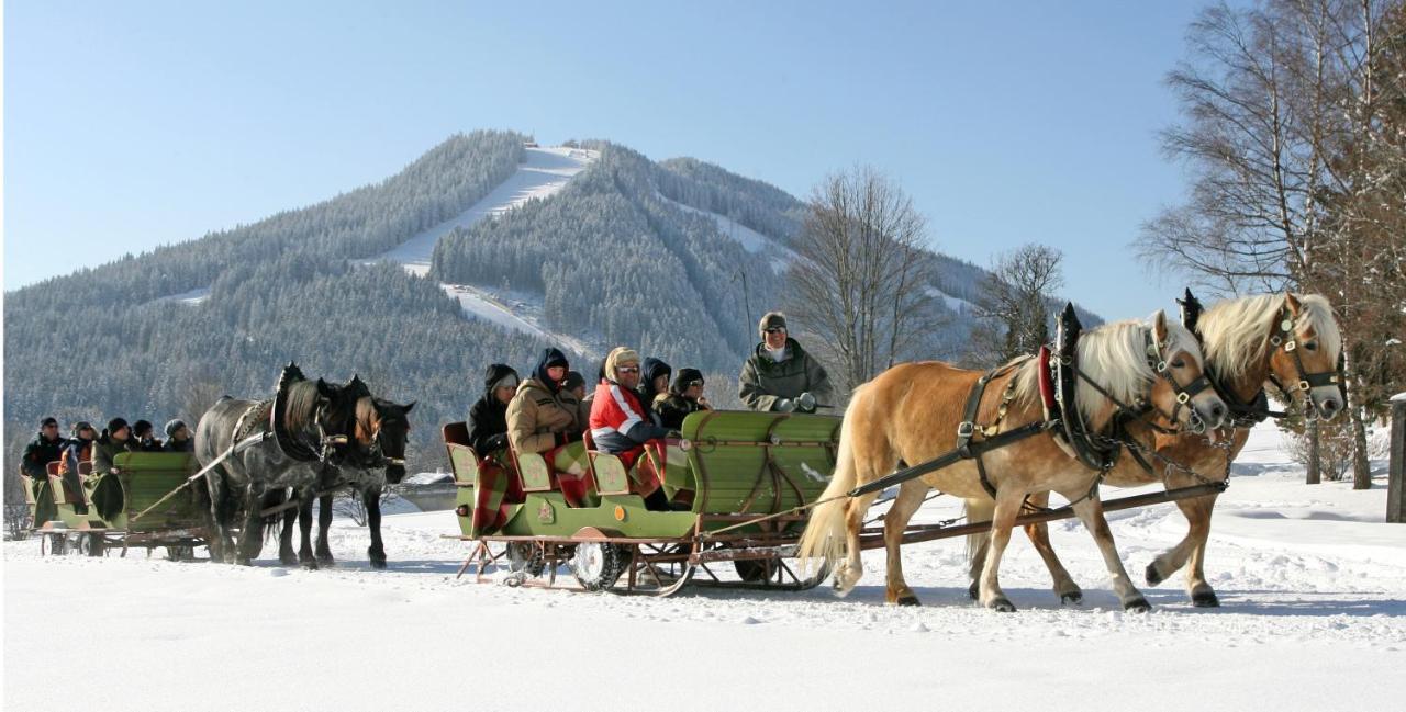 Bio-Holzhaus Und Landhaus Heimat Ramsau am Dachstein Dış mekan fotoğraf